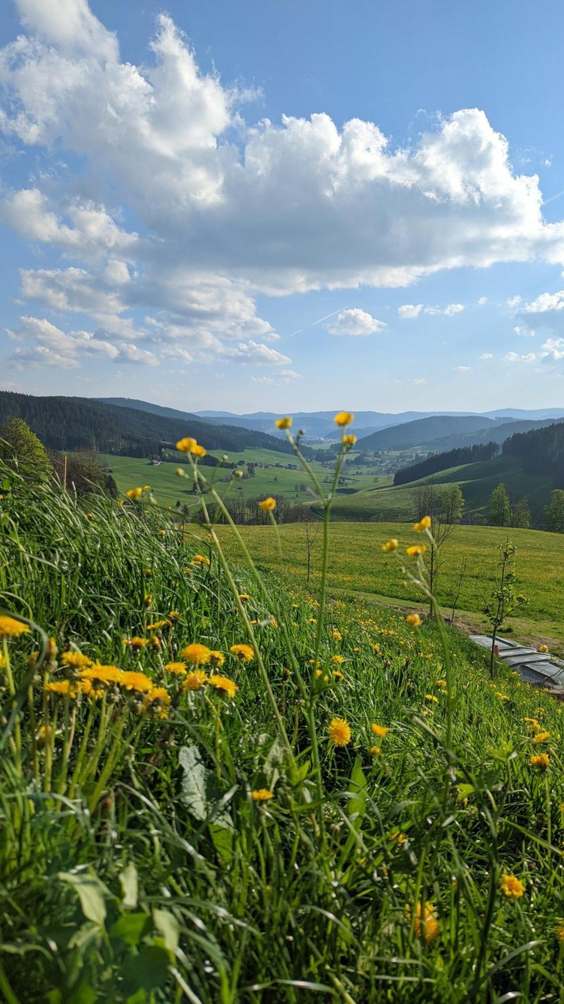 Apartmán Haberjockelshof Erlebnishof Titisee-Neustadt Exteriér fotografie